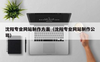 驻马店沈阳专业网站制作方案（沈阳专业网站制作公司）